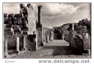 TEBESSA-Ruines Romaines de la basilique chretienne/N103