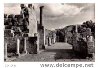 TEBESSA-Ruines romaines de la basilique chretienne/N103