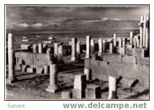 TEBESSA-Vue des ruines romaines de la basilique chretienne/N108