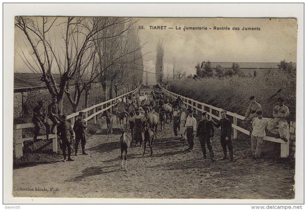 CPA Tiaret Algérie la jumenterie rentrée des juments 1910