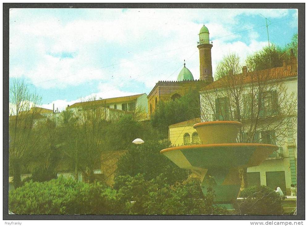 SOUVENIR  DE  TIARET  -  ALGÉRIE  -