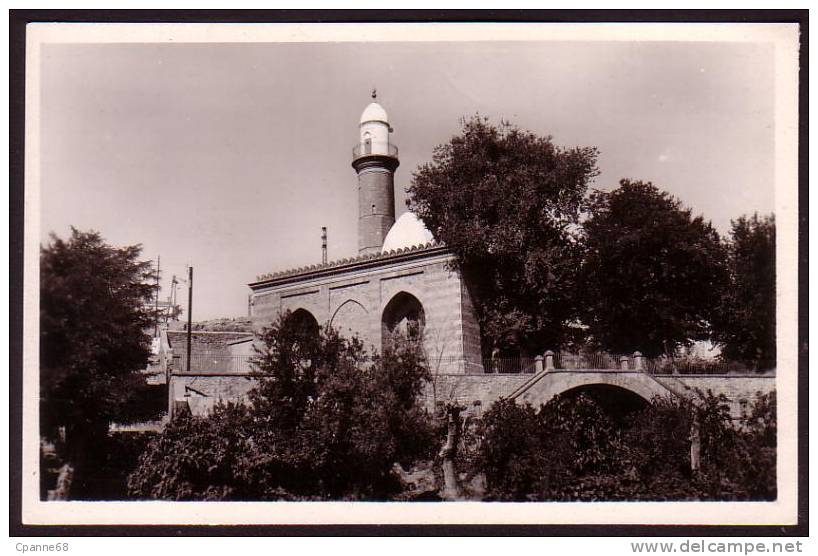 Tiaret - La Mosquée