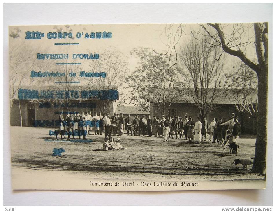 cpa, très belle vue animée, Jumenterie de Tiaret, dans l'attente du déjeuner