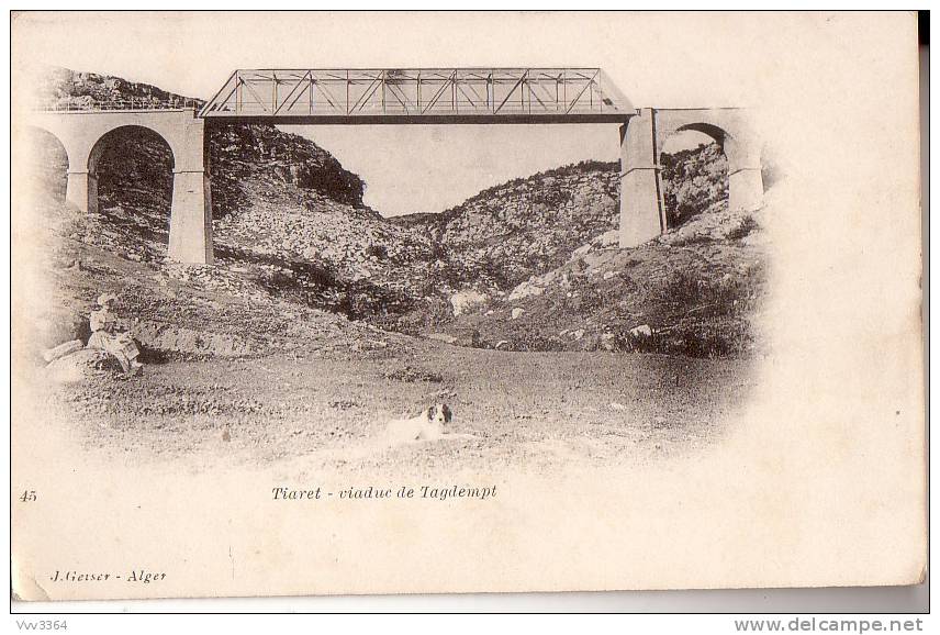 TIARET Viaduc de Tagdempt