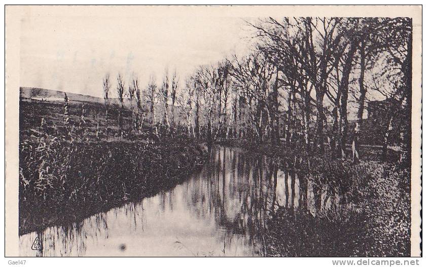 cpa  Réf-JP-T121 (  Algérie )  à  TIARET   