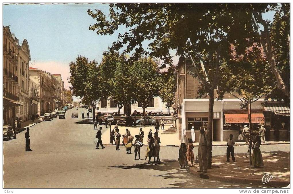 Algérie - Tiaret - La Rue Cambon