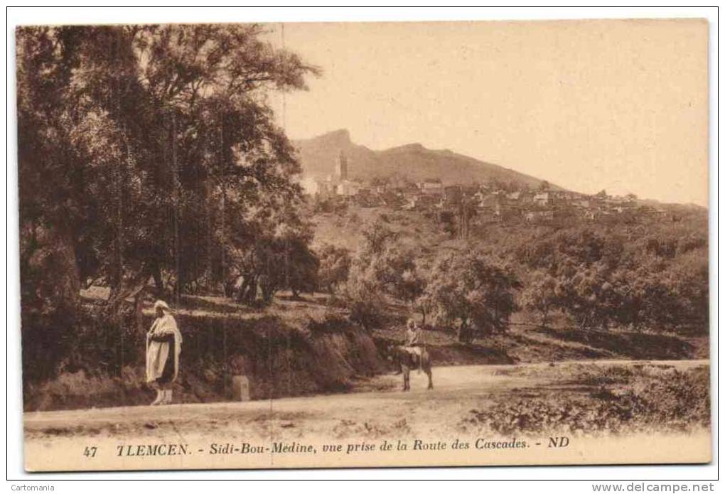 Tlemcen - Sidi-Bou-Médine vue prise de la Route des Cascades