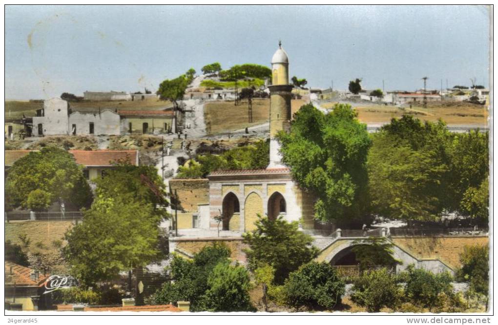 CPSM TIARET (Algérie) - La Grande Mosquée