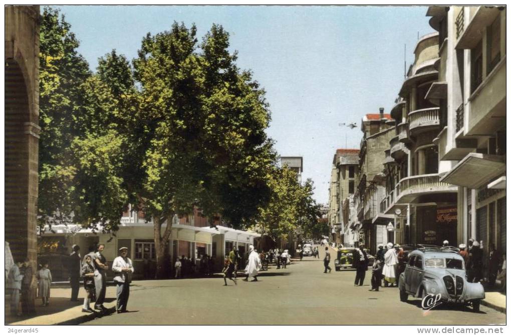 CPSM TIARET (Algérie) - La Rue Albert Soler