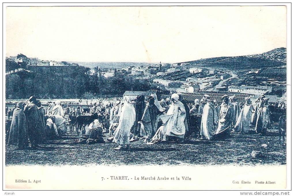 TIARET Le Marché Arabe et la Ville (Etoile/Albert/Agot) Algérie Afrique