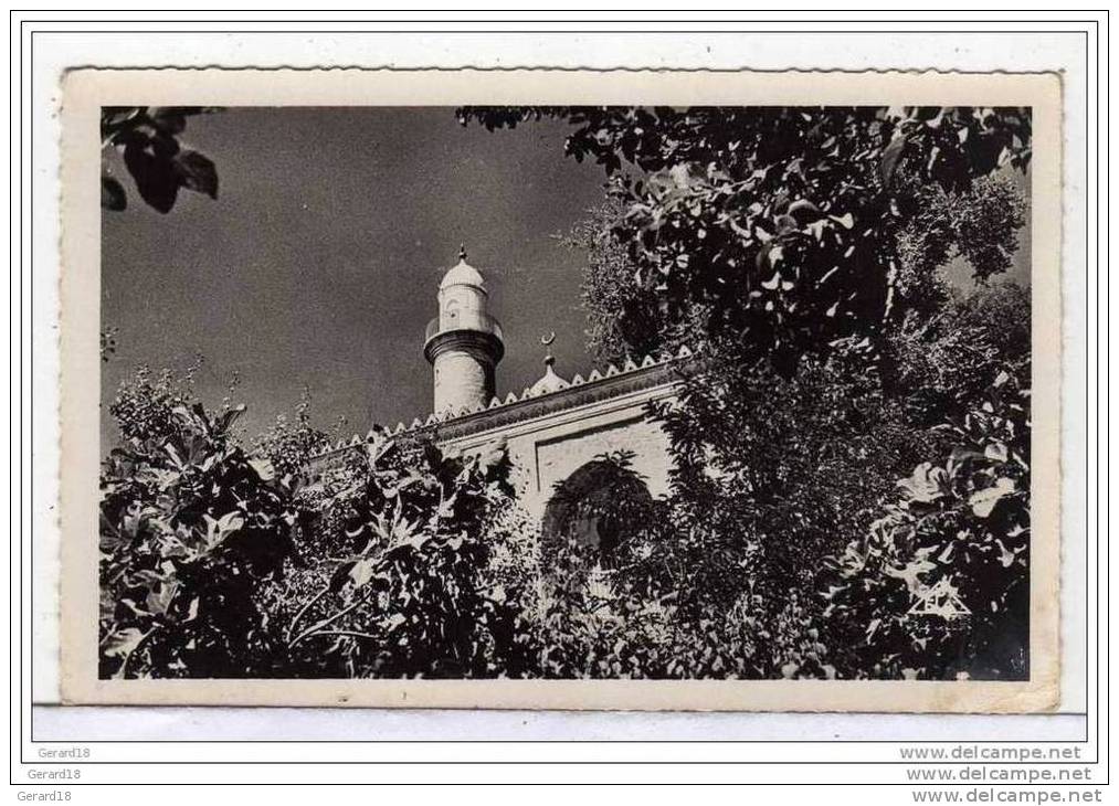 (algérie) TIARET  La Mosquée.(1957)