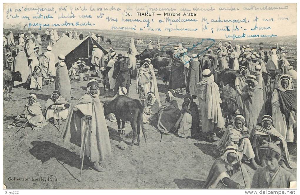 ALGERIE  1 CPA TIARET  1919 marché arabe  belle animation et carte