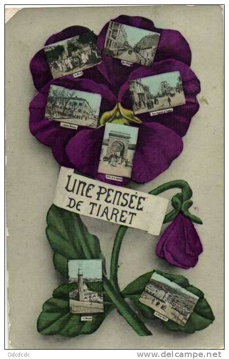 Fantaisie Une Pensée de TIARET  Multivues