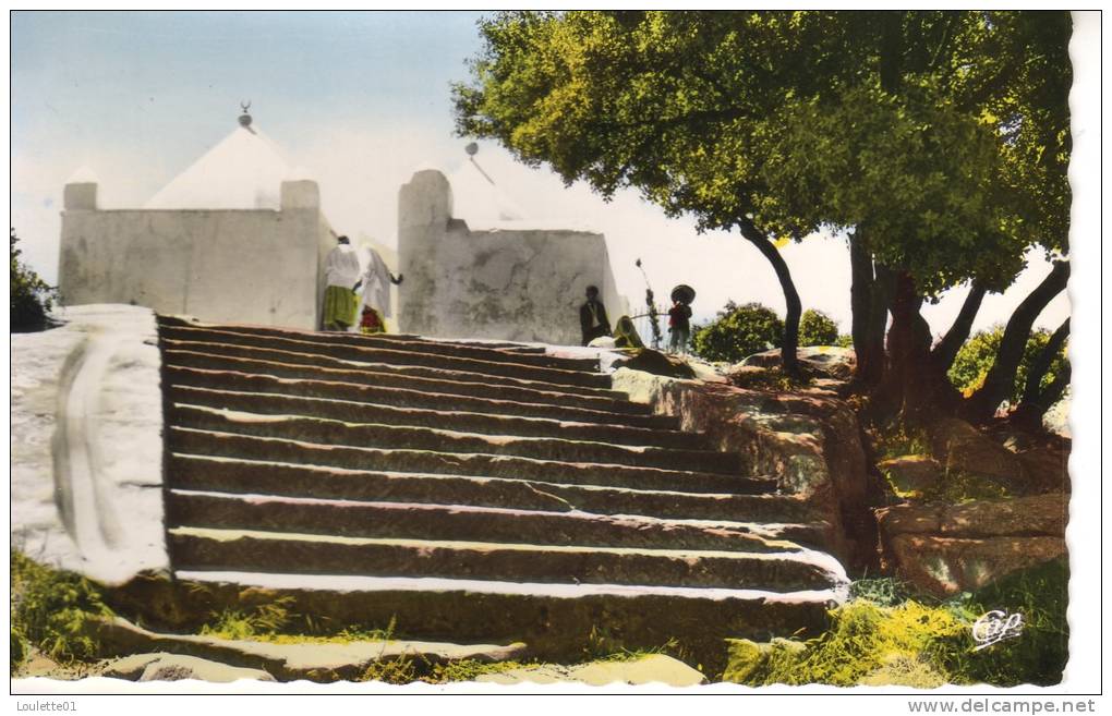 TIARET  Le Marabout de Sidi Khaled