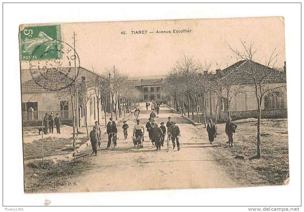 tiaret avenue escoffier