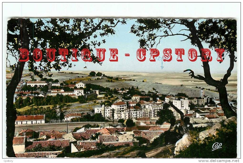 ALGERIE - TIARET - Vue Générale - Dos Scané