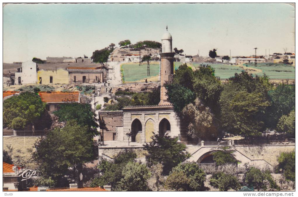 TIARET  La Grande Mosquée  ( cap 1514 )