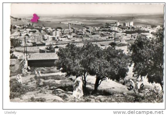 ALGERIE-12787-TIARET-Vue générale---------------an imée