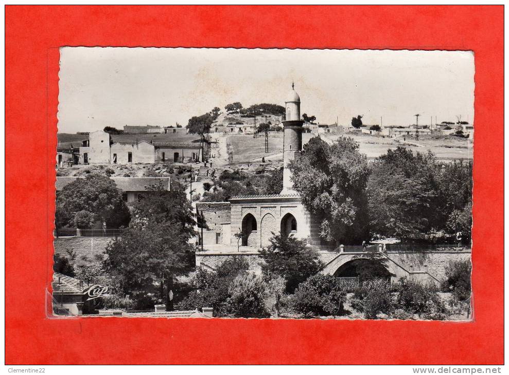 algérie tiaret N° 1514 la grande mosquée ( non écrite )