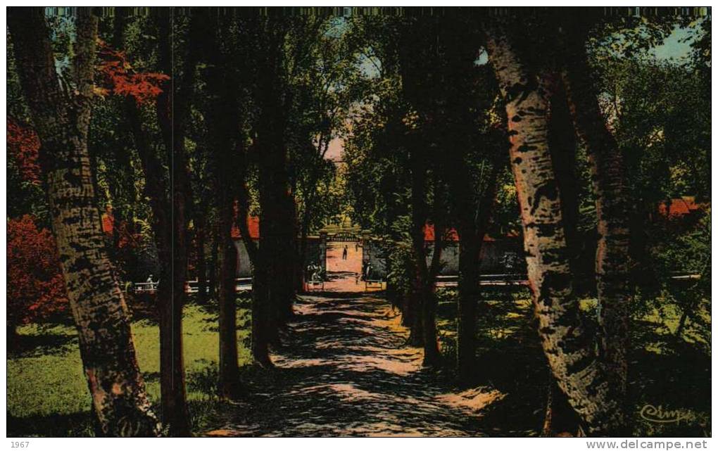 CPA -  Algérie  -    TIARET  -   L'Entrée de la Jumenterie  -