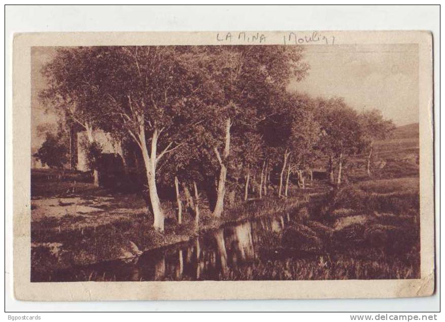 Environs de Tiaret - Moulin de la Mina