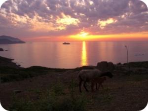 Coucher de soleil à Chetaibi