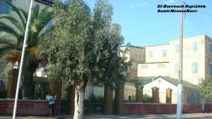 El-Harrouch El-Arrouch Skikda Skikda Algerie Algerie