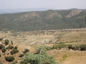 Les monts de Bouhmama, Khenchela
