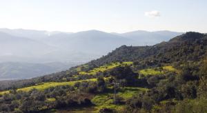 Paysage de la commune de Ifigha, Tizi Ouzou