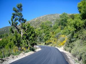 La route du village de Ighil goudles