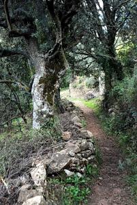 Dans le village d'Izemmuren