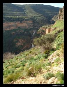 Paysage du coté d'El Ourit, Tlemcen