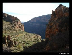 Paysage d'El Ourit, Tlemcen