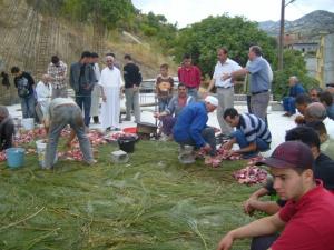 Louziaa au quartier Aghlad -Lemroudj .