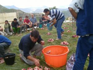 Louziaa au quartier Aghlad -Lemroudj .