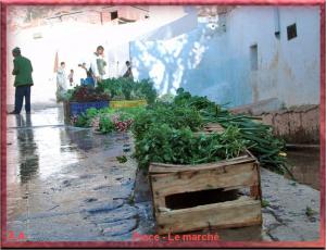 Lieu dit    EL ANCOR