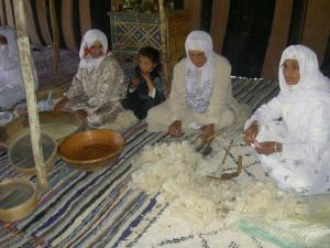 les cultures de commune de sidi hosni