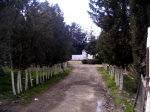 Le parc d'El Hammadia, B.B. Arreridj