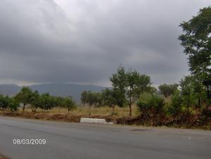 Etat du ciel d'Algérie