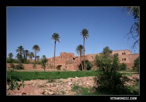 Ksar de Tiout