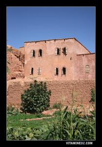 Vestiges du Ksar de Tiout