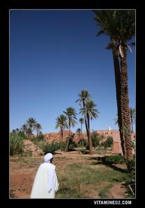 Ksar et Palmeraie de Tiout