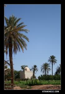 Mkam Sidi Ahmed Benyoucef, Cimetière accueillant ses descendants