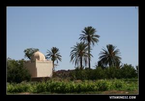 Cimetière accueillant les descendants de Sidi Ahmed Benyoucef