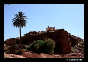 Lalla Sfeya, fille de Sidi Slimane bnou abi samaha, enterrée à Tiout