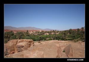 Tiout l'enchanteresse