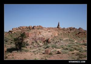 Tiout, lieu ou se situe l'ancien Ksar