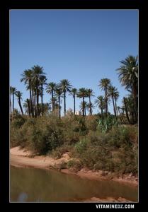 Mkam Sidi Abdelkader à Tiout