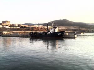 port de  peche   d'el marsa
