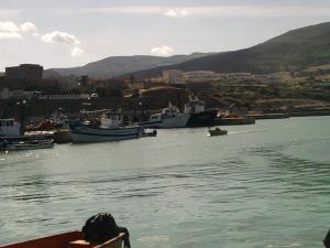 port de  peche   d'el marsa
